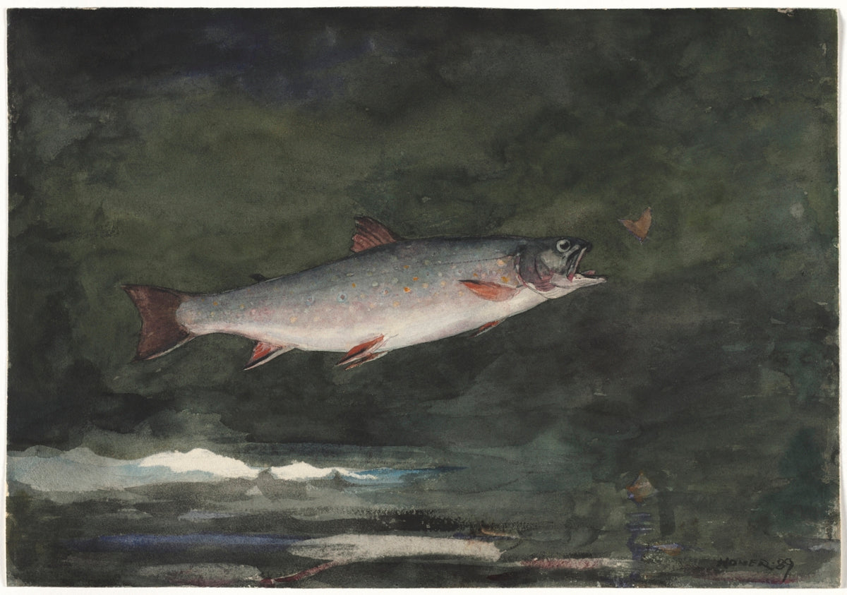Leaping Trout by Winslow Homer (American, 1836–1910) - American Realist canvas print