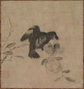 Crow on a Pomegranate by  - Classic Art canvas print
