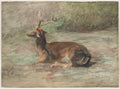 Stag Lying Down by Rosa Bonheur (French, 1822–1899) - Classic Art canvas print
