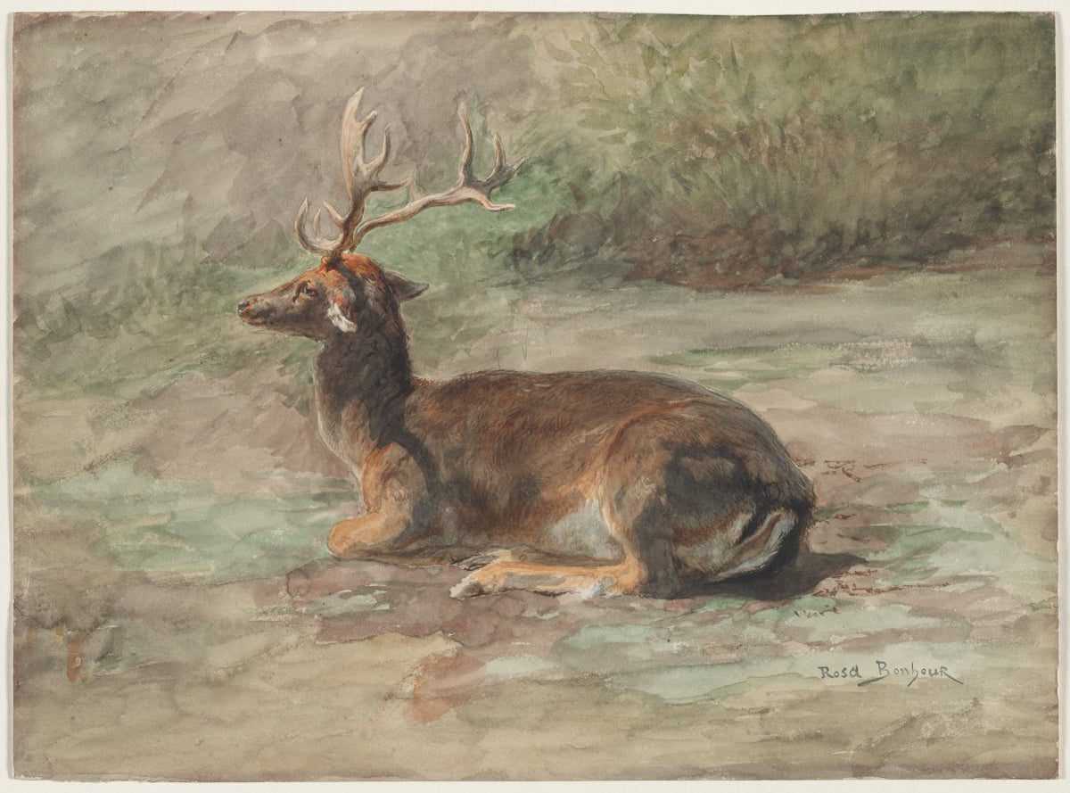 Stag Lying Down by Rosa Bonheur (French, 1822–1899) - Classic Art canvas print