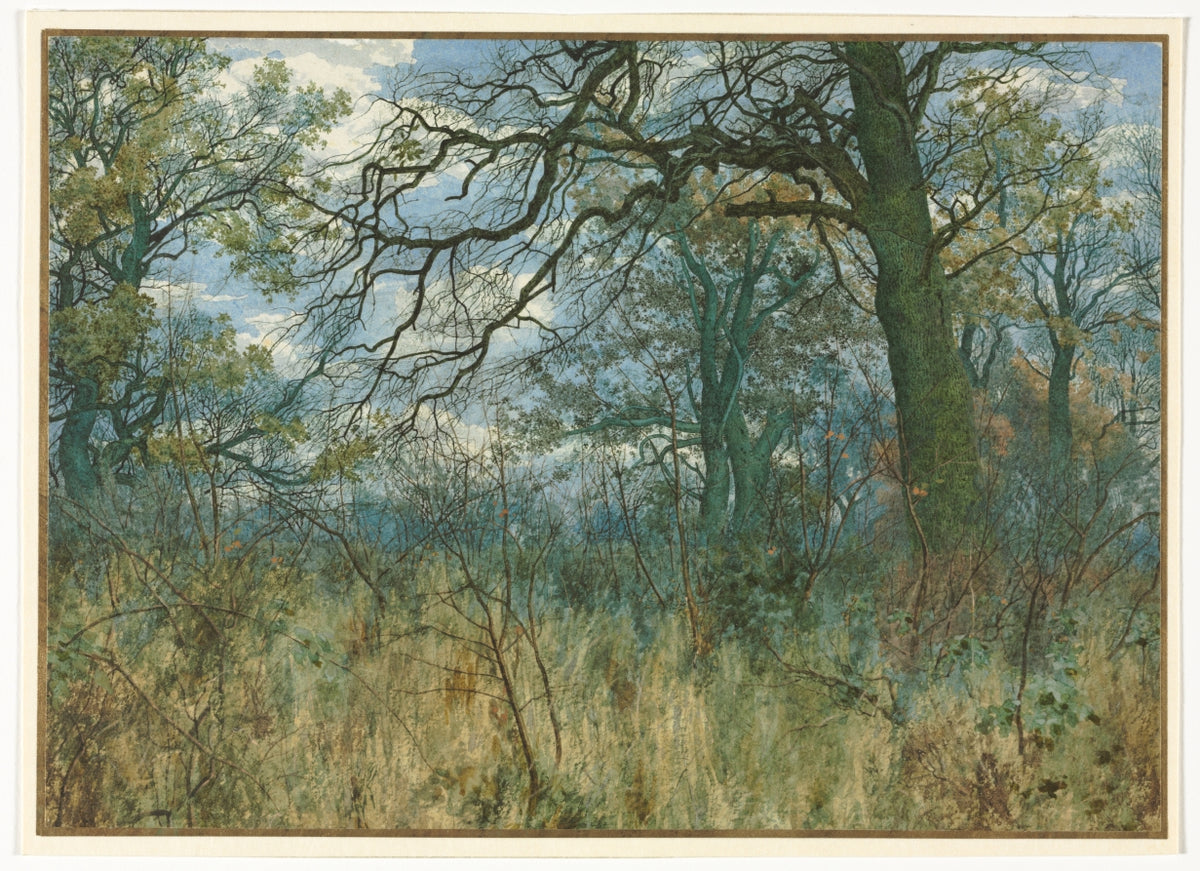 Trees and Undergrowth by Garden William Fraser (British, 1856–1921) - Classic Art canvas print