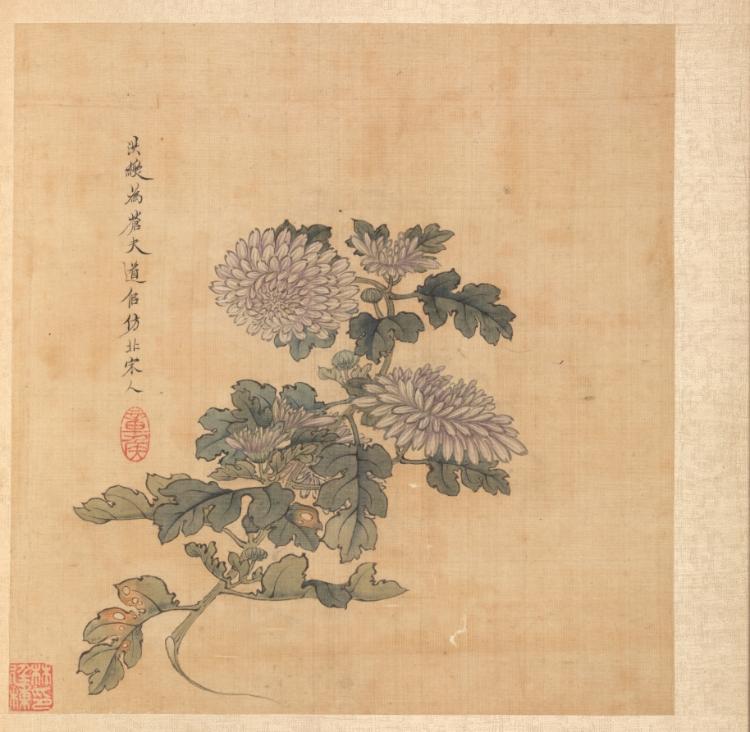 Paintings after Ancient Masters Chrysanthemum by Chen Hongshou (Chinese, 1598/99–1652) - Classic Art canvas print