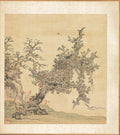 Paintings after Ancient Masters An Ancient Tree by Chen Hongshou (Chinese, 1598/99–1652) - Classic Art canvas print