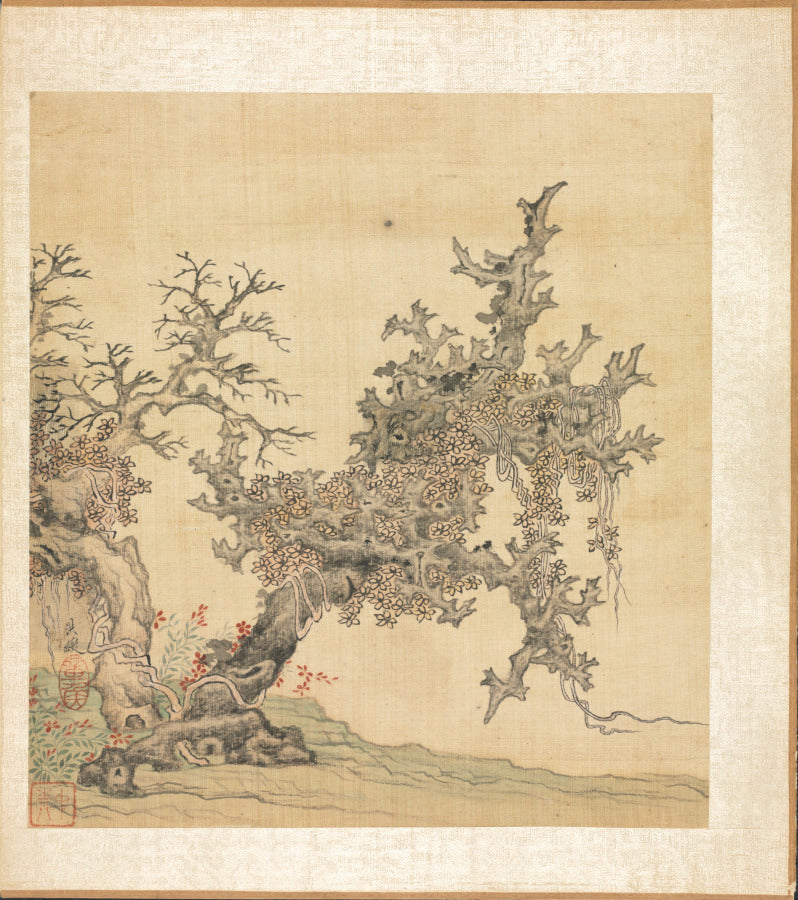 Paintings after Ancient Masters An Ancient Tree by Chen Hongshou (Chinese, 1598/99–1652) - Classic Art canvas print