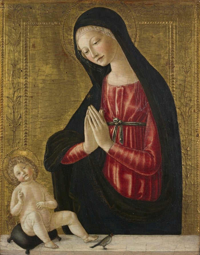 Virgin and Child with a Goldfinch by Neroccio de' Landi (Italian, 1447–1500) - Classic Art canvas print