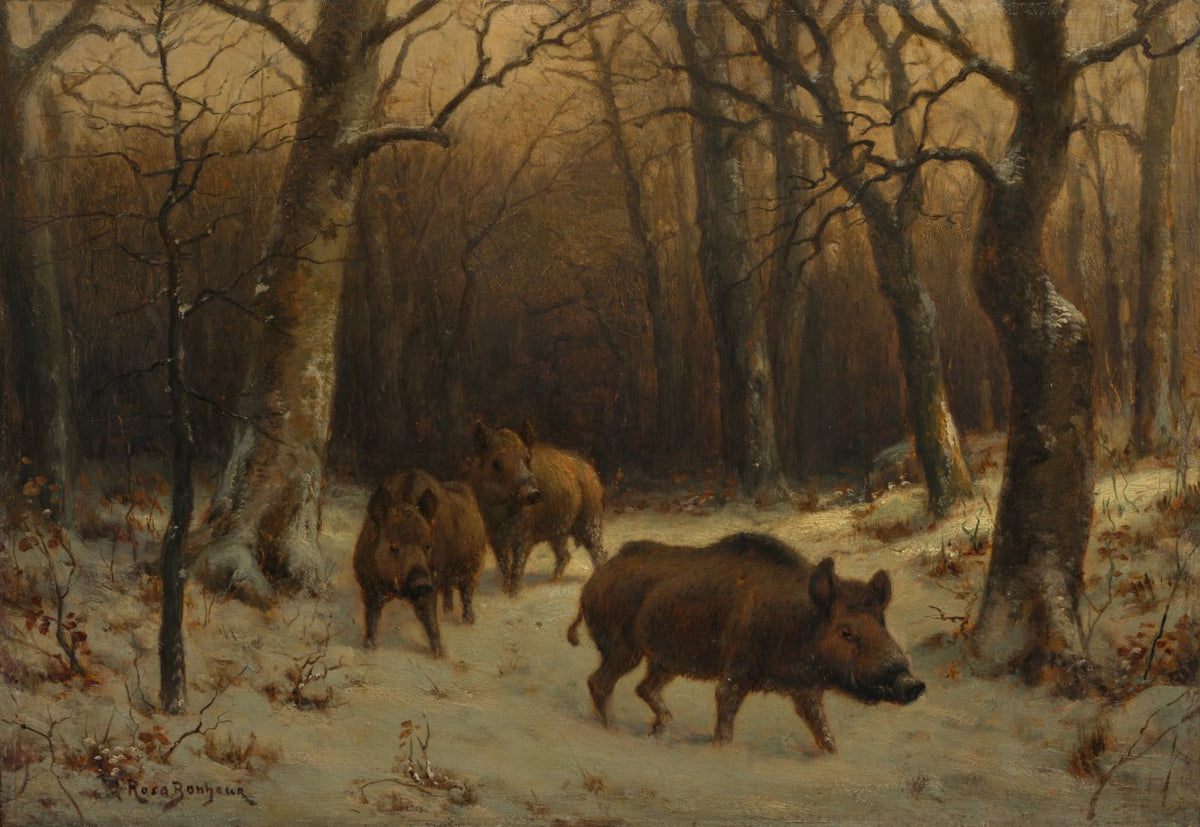 Wild Boars in the Snow by Rosa Bonheur (French, 1822–1899) - Classic Art canvas print