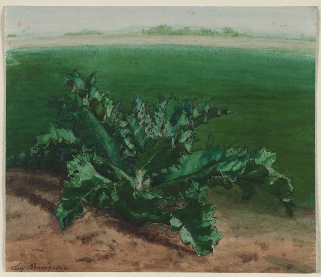 Study of a Plant, Possibly Thistle by Léon Bonvin (French, 1834–1866) - Classic Art canvas print