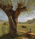 Pollard Willow by Pierre Jean Boquet (French, 1751–1817) - Classic Art canvas print