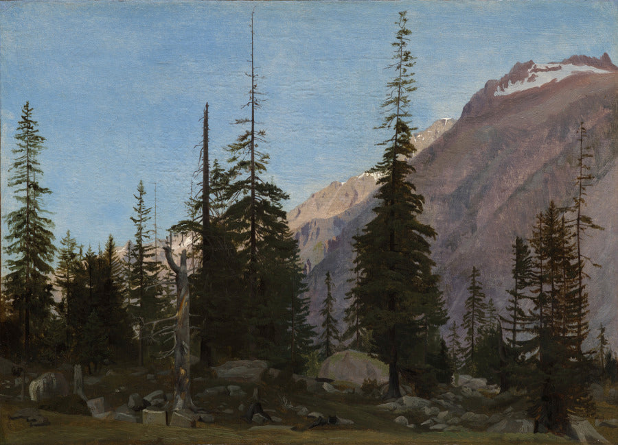 Alpine Landscape  The Handegg, Switzerland by Jean-Léon Gérôme (French, 1824–1904) - Classic Art canvas print