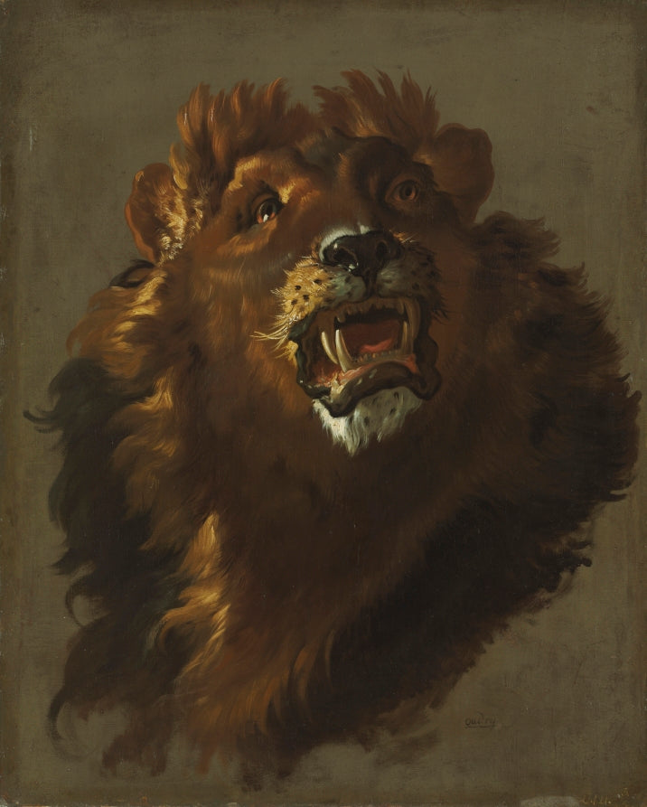 Lion by Giuseppe Baldrighi (Italian, 1723–1803) - Classic Art canvas print