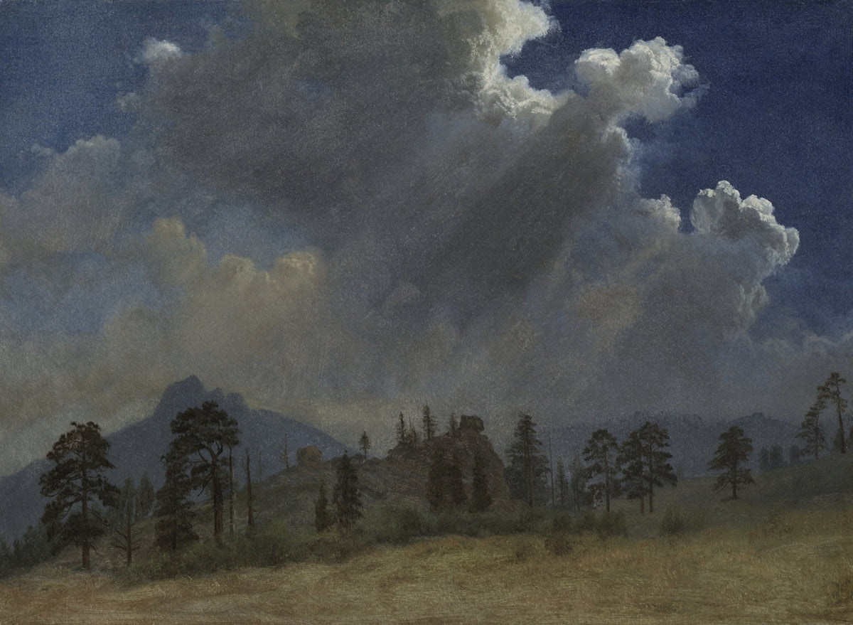 Fir Trees and Storm Clouds by Albert Bierstadt (American, born Prussia [now Germany], 1830–1902) - Classic Art canvas print