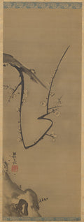 Plum Tree by Ogata Kōrin (Japanese, 1658–1716) - Classic Art canvas print