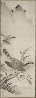 Hawk by Fujiwara Masayoshi (Japanese) - Classic Art canvas print