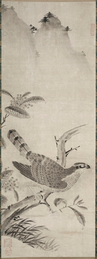 Hawk by Fujiwara Masayoshi (Japanese) - Classic Art canvas print