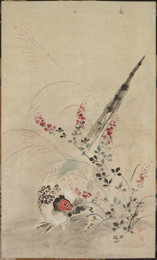 Pheasant and Grasses by Ogata Kōrin (Japanese, 1658–1716) - Classic Art canvas print