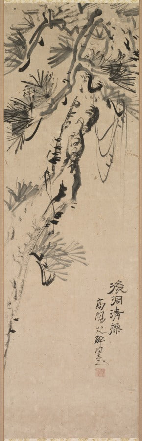 Aged Pine by Nakayama Kōyō (Japanese, 1717–1780) - Classic Art canvas print