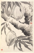 Peaches by Min Zhen (Chinese, 1730–after 1788) - Classic Art canvas print