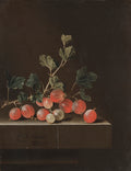 Gooseberries on a Table by Adriaen Coorte (Dutch, 1660–1707) - Classic Art canvas print