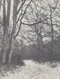 Road in the Forest by Eugène Cuvelier (French, 1837–1900) - Classic Art canvas print