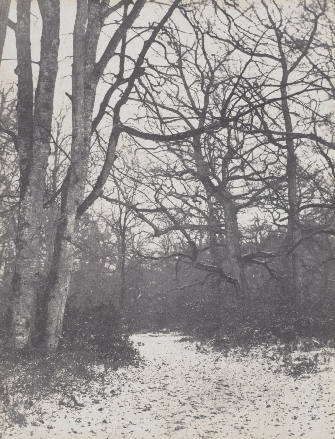 Road in the Forest by Eugène Cuvelier (French, 1837–1900) - Classic Art canvas print