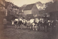 Untitled Farm Animals by Adolphe Braun (French, 1812–1877) - Classic Art canvas print