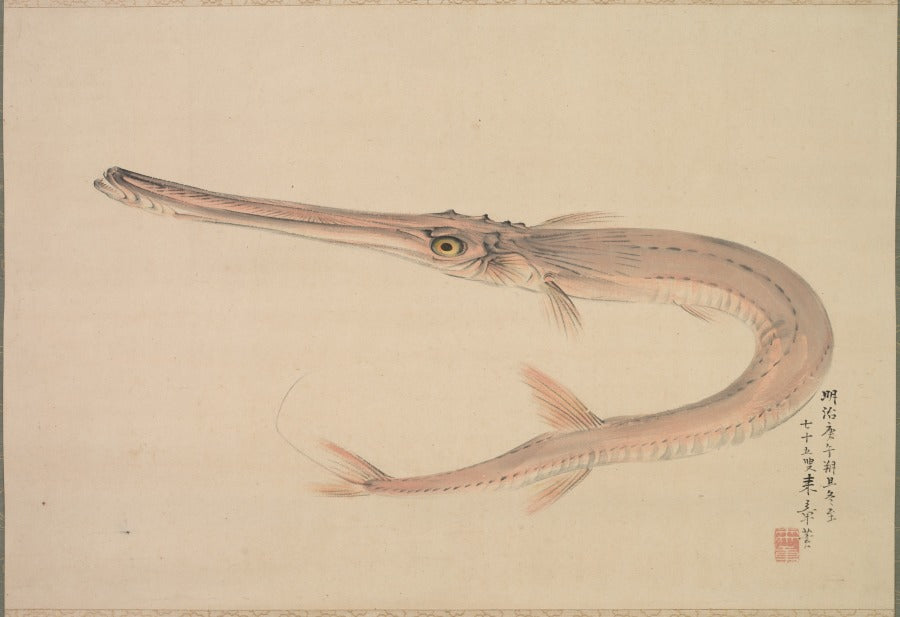 Needlefish Yagara by Nakajima Raishō (Japanese, 1796–1871) - Classic Art canvas print