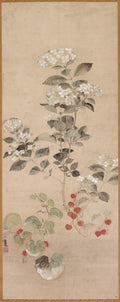 Summer Flowers by Kitagawa Sōsetsu (Japanese, active 1639–50) - Classic Art canvas print