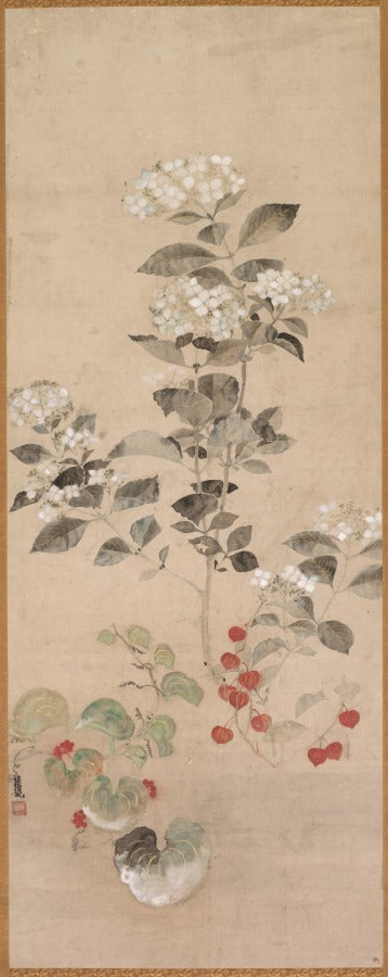 Summer Flowers by Kitagawa Sōsetsu (Japanese, active 1639–50) - Classic Art canvas print