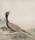 Pheasant by Ogata Kōrin (Japanese, 1658–1716) - Classic Art canvas print