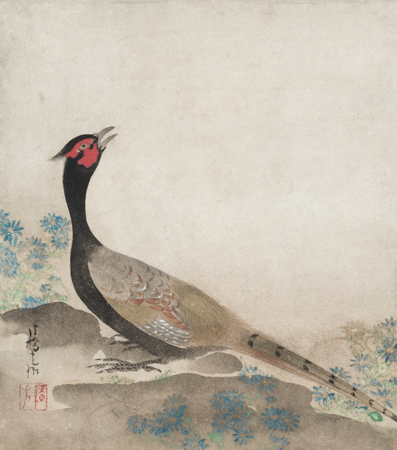 Pheasant by Ogata Kōrin (Japanese, 1658–1716) - Classic Art canvas print