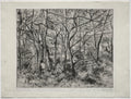 Wooded Landscape at L'Hermitage, Pontoise by Camille Pissarro (French, 1830–1903) - Impressionist canvas print