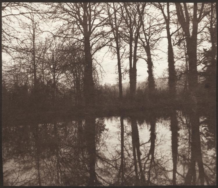 Winter Trees Reflected in a Pond by William Henry Fox Talbot (British, 1800–1877) - Classic Art canvas print