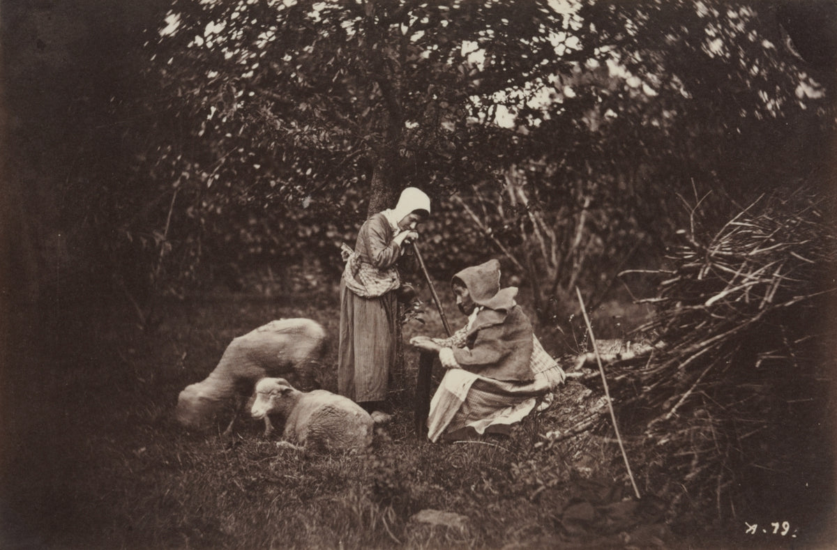 Two Shepherdesses Resting with Two Sheep by Auguste Giraudon's Artist (French) - Classic Art canvas print
