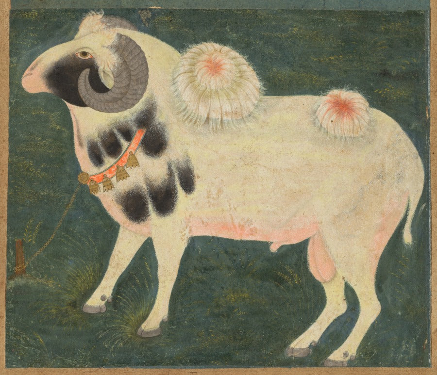 A royal ram with a gold chain by  - Classic Art canvas print