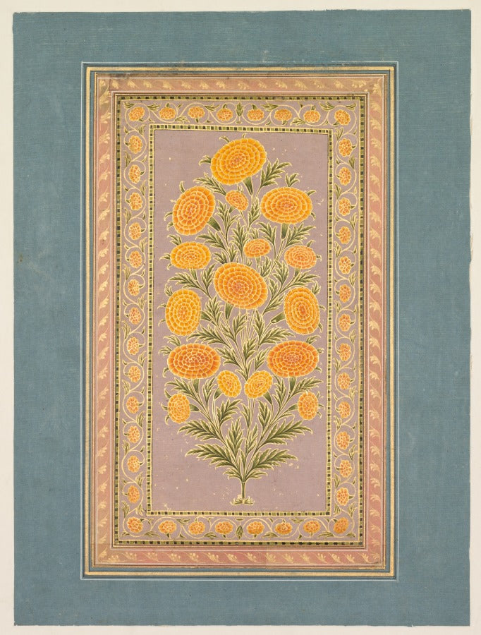 Flowering Marigold verso by Hunhar II (Indian, active mid-1700s) - Classic Art canvas print