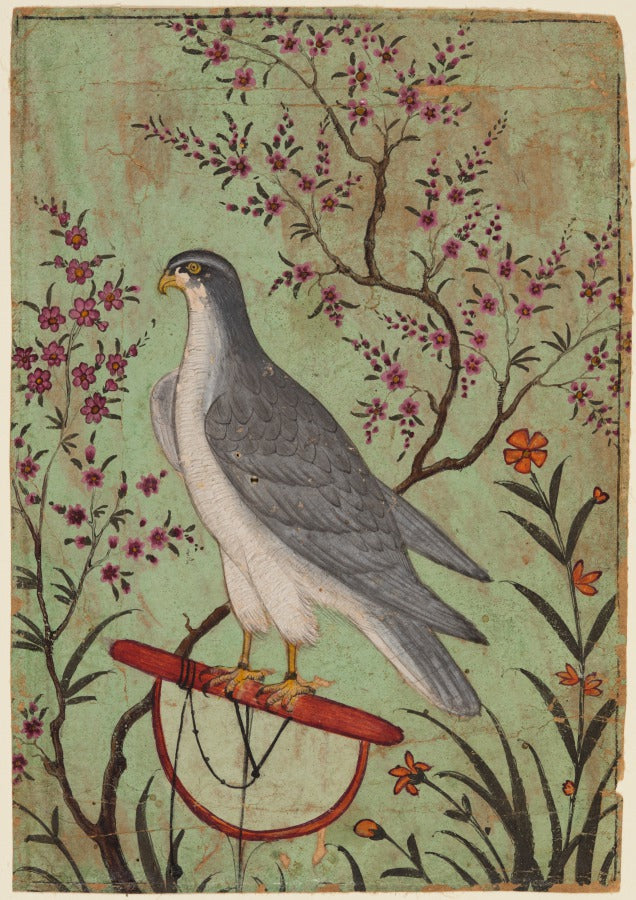 Falcon on a Perch by  - Classic Art canvas print