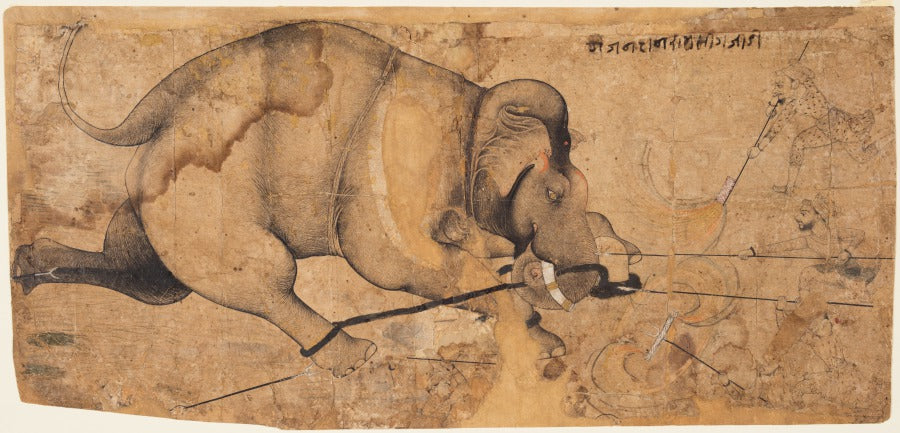 Rao Ram Singh Is Elephant Gone Amok by  - Classic Art canvas print