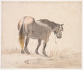 Horse Standing on a Mound by Cornelis Saftleven (Dutch, 1607–1681) - Classic Art canvas print
