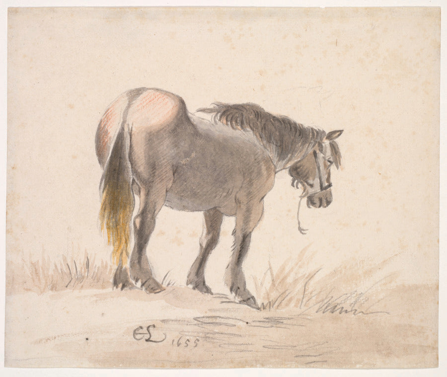 Horse Standing on a Mound by Cornelis Saftleven (Dutch, 1607–1681) - Classic Art canvas print