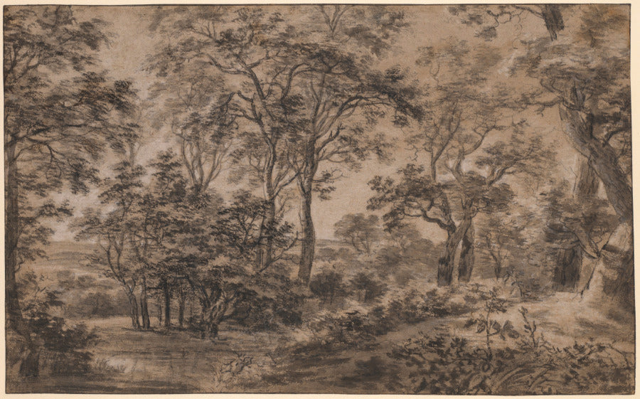 Wooded Landscape by Anthonie Waterloo (Dutch, 1609/10–1690) - Classic Art canvas print