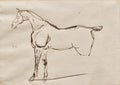 Study of a Horse by Eugène Delacroix (French, 1798–1863) - Romantic canvas print