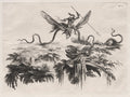 A Savage mounted on a winged Serpent battling with a wild beast resembling a Porcupine by Filippo Morghen (Italian, 1730–after 1807) - Classic Art canvas print