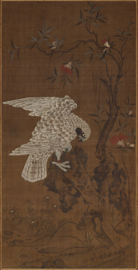 White Falcon by  - Classic Art canvas print