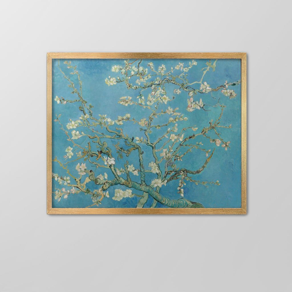 Almond Blossom Canvas Print