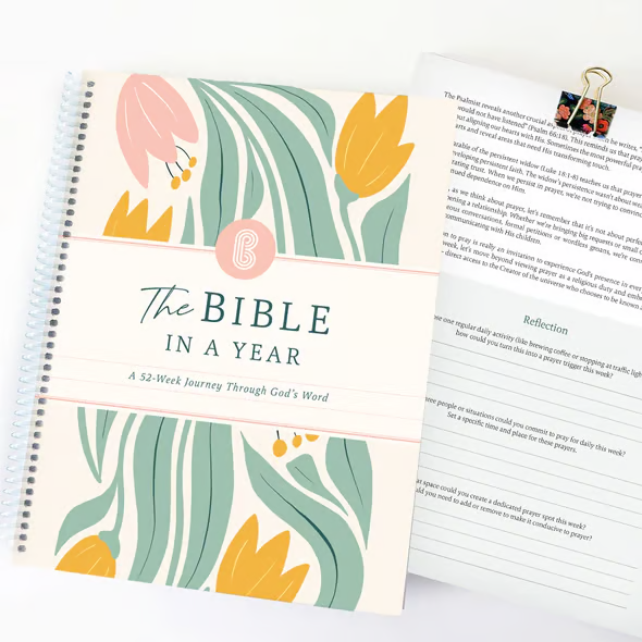 🔥LAST DAY 49% OFF - ✝️📚The Bible In A Year: A 52-Week Study(✨Hardcover Book)