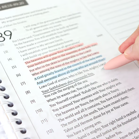 🔥LAST DAY 49% OFF - ✝️📚The Bible In A Year: A 52-Week Study(✨Hardcover Book)