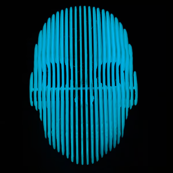 3D Printed Luminous Quantum Skull Glow in the dark