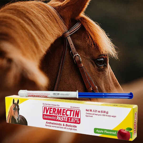🔥Last Day 49% OFF🔥ivermectin Horse Paste 1.87% 6.08g Tubes