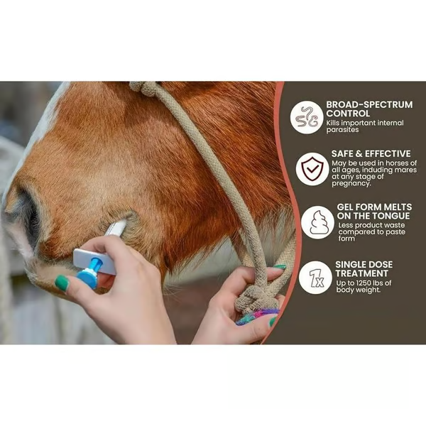 🔥Last Day 49% OFF🔥ivermectin Horse Paste 1.87% 6.08g Tubes