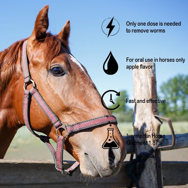 🔥Last Day 49% OFF🔥ivermectin Horse Paste 1.87% 6.08g Tubes